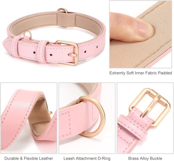 WHIPPY Leather Dog Collar for Small Medium Large Dog Adjustable Soft Breathable Leather Padded Puppy Collar with Alloy Buckle Heavy Duty Waterproof Classic Dog Pet Collar,Pink,M - Image 5