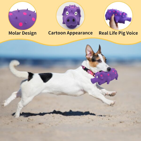 Andiker Dog Squeaky Toy, Dots Latex Dog Chew Toys with a Oinks Sound Squeaker Grunting Pig Dog Toy Durable Self Play 8" Dog Squeeze Toy for Dental Biting Chasing to Kill Boring Time (Purple) - Image 3