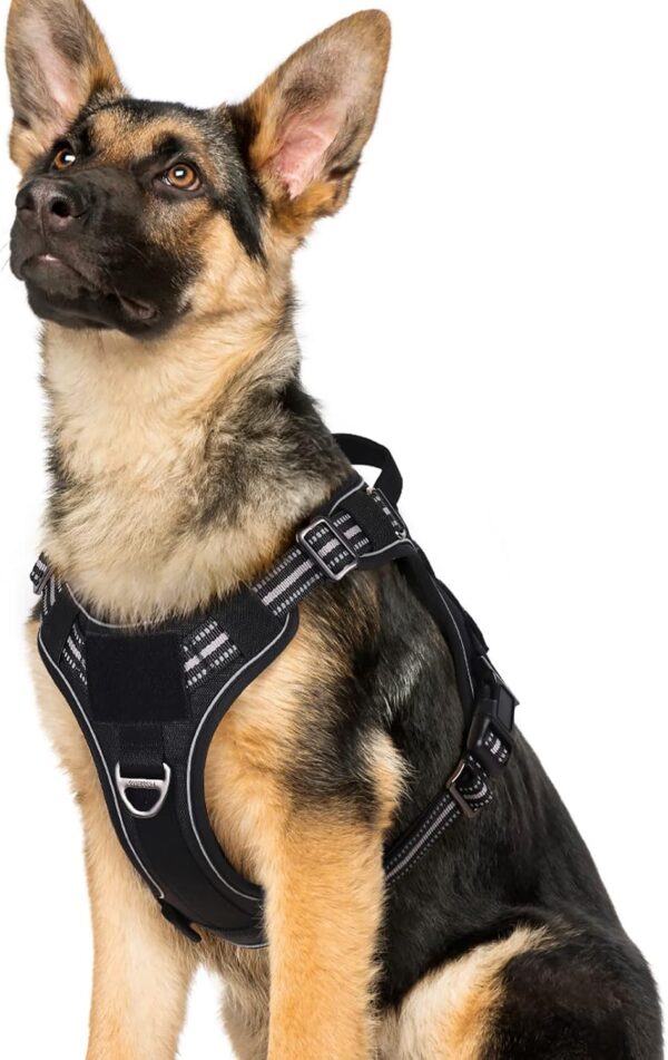 rabbitgoo Dog Harness for Large Dogs No Pull, Tactical Service Dog Vest with Molle and Control Handle, Adjustable and Reflective Military Pet Harness for Easy Walking and Training, Black, XL