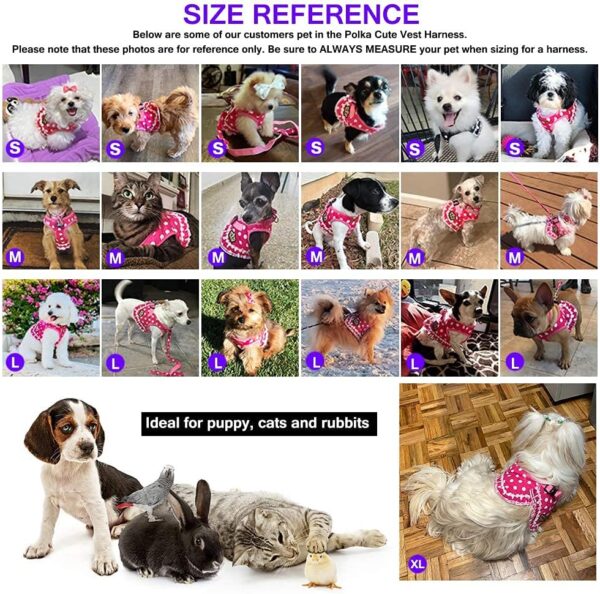 BARKLESS Cute Small Dog Harness, Ladies Polka Dots Dog Vest Harness Set with Pink Leash and Bowknot Collar, 3 in 1 Girl Style Vest Harness Set for Puppy and Cat (L (Chest: 14-18"), Pink) - Image 6