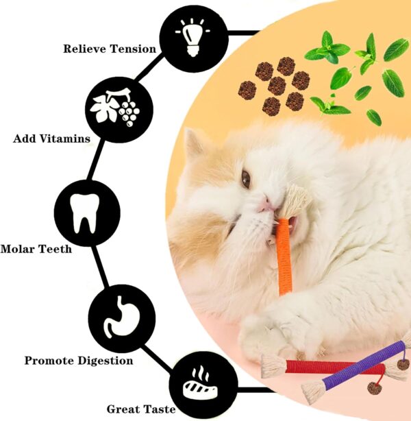 Cat Toys 6Pcs Catnip Toys for Indoor Kitten Cat Chew Silvervine for Molar Scratch Interactive Cat Cotton Rope for Cleaning Teeth Cat Dental Stick Cat Treat Kitty Self Play Cat Kick(5.9”) - Image 4