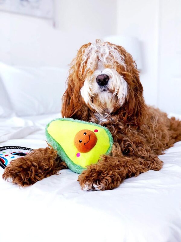 ZippyPaws Nomnomz Avocado Dog Toy - Image 5