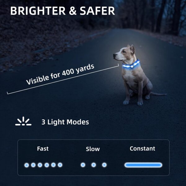 PetIsay Light up Dog Collar - High Visibility & Durable Nylon Material - USB C Rechargeable & Waterproof LED Dog Collar for Night Walking,Lighted Dog Collar Glow in The Dark Flashing(Blue,Medium) - Image 5