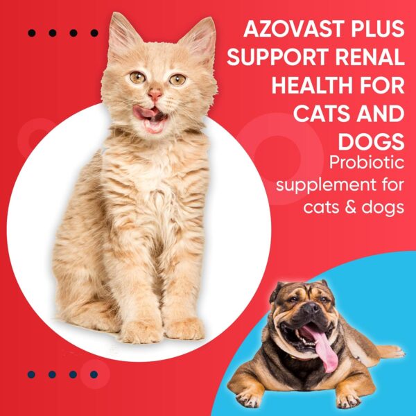 Azovast Plus Kidney Health Supplement for Dogs & Cats, 240ct - NO Refrigeration Required - Help Support Kidney Function & Manage Renal Toxins - Renal Care Supplement Capsule(U.S.A) (240 Caps) - Image 9