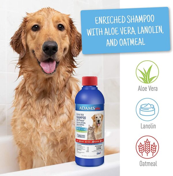 Adams Plus Shampoo 12 oz. + Flea & Tick Collar - Image 2