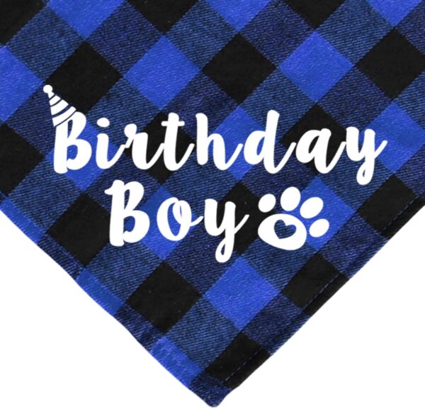 Cat Birthday Party Supplies, Plaid Cat Kitten Birthday Boy Bandanas with Cat Birthday Hat Cat Bow Tie Birthday Number for Cat Kitten Birthday Decorations - Image 4