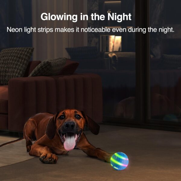 ALL FOR PAWS Interactive LED Dog Ball for Boredom Motion Activated Moving Dog Balls Toy Lights Up for Day/Night Play, Dog Enrichment Toys for Puppy, USB Rechargeable and Perfect for Dogs - Image 6