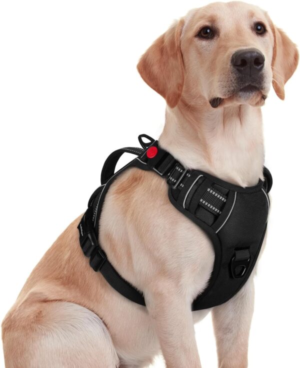 rabbitgoo Dog Harness Medium Sized, No Pull Pet Harness with Soft Padded Handle, Adjustable Reflective Vest with 3 Buckles, Easy Walking Harness with 2 Leash Clips, Black, M