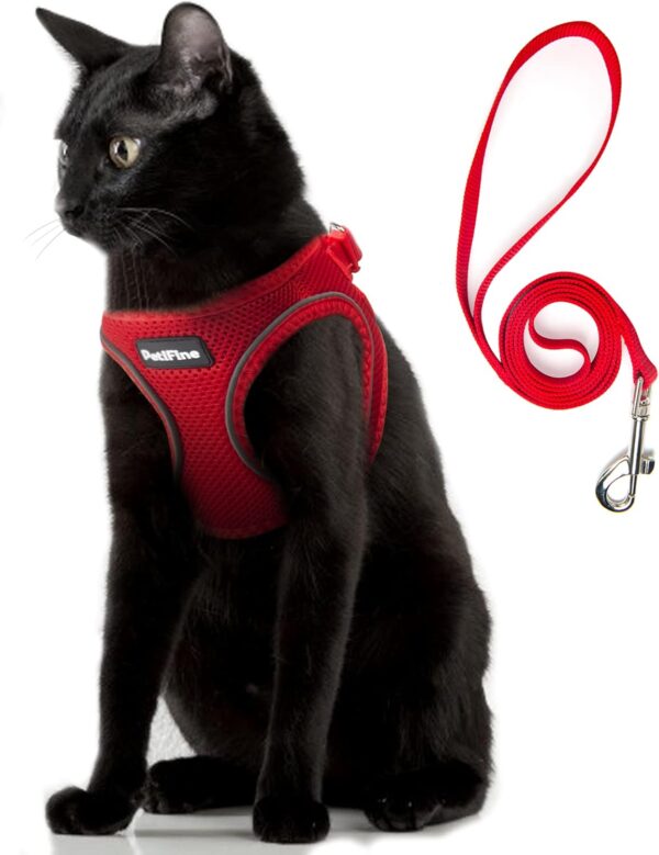 PetiFine Extra Small Step in Dog Harness and Leash Set, Cat Harness and Leash Escape Proof, All Weather Mesh Reflective, Step-in Air Vest Harnesses for Puppy(XXS, Red)