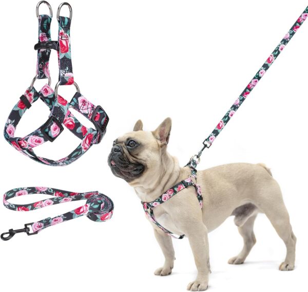 BEAUTYZOO No Pull Small Dog Harness and Leash Set, No Chock Puppy Step in Vest Harness Nylon Lightweight Neck&Chest Adjustable for Dogs Girls and Boy, Pet Harness for Small Medium Dogs