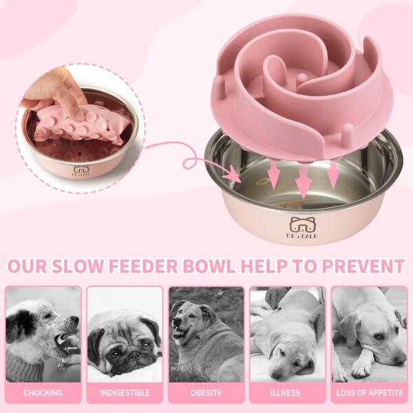 2-in-1 Metal Slow Feeder Dog Bowl, Bestalk Stainless Steel Dog Bowls with Silicone Slow Feeder Insert, Food Grade 304 Water Food Bowl with Anti-Slip Base for Small, Medium, Large Dogs - Image 3