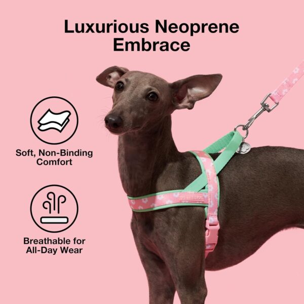 VETRESKA No Pull Dog Harness and Leash Set for Small Medium Large Dogs, Adjustable Soft Padded, Easy Control, Easy Walk and Anti-Twist Pet Lead Combo (Pink & Green,XS) - Image 2