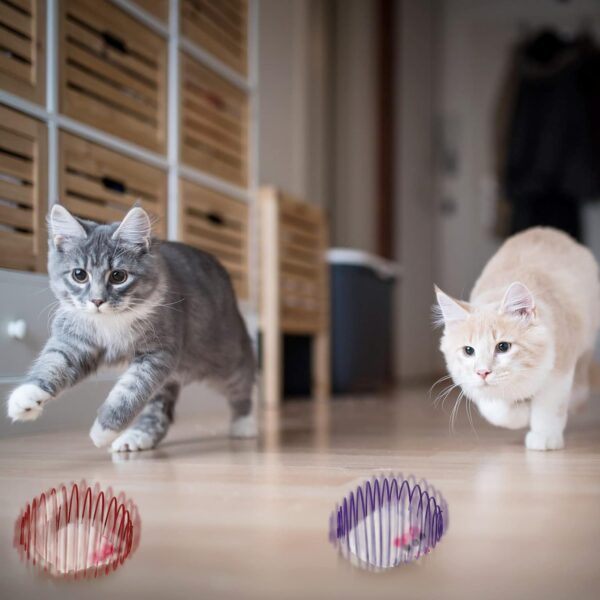 5 Pcs Cat Spring Balls Stretchable Cat Springs Toys Interactive Cat Toys Rolling Cat Balls Colorful Playful Coils Spring Action Toy Caged Rats for Kitten Cat Pet Supplies Indoor Play, Random Color - Image 5