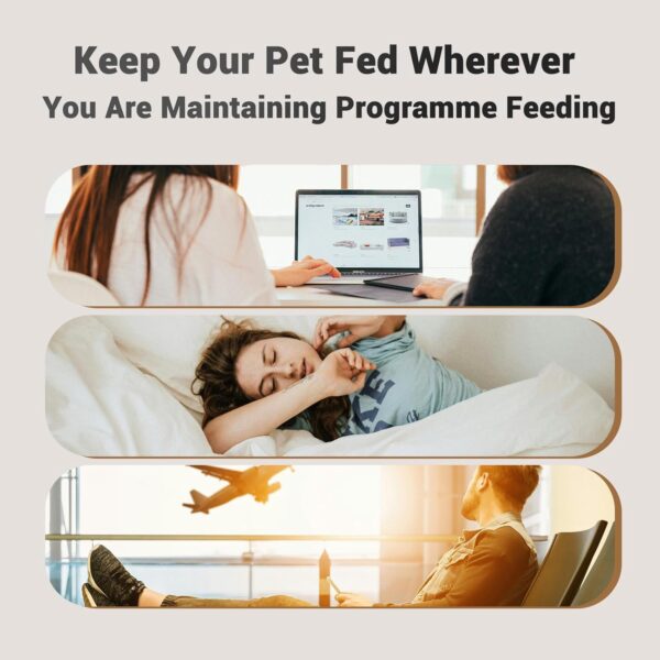 Automatic Cat Feeders, Timed Dog Feeder 4L Programmable Control 1-6 Meals Pet Dry Food Dispenser with Desiccant Bag for Cats and Small Medium Dogs, Dual Power Supply - Image 7