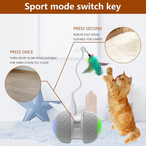 Automatic Cat Toys Interactive Feather Toys, Pet Exercise Electric Toys for Indoor Cats/Kitten with Feather - Image 2