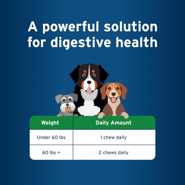 Pet Protect from The Makers of Advantage Vet-Formulated Dog Digestive Health Supplement | 60 Chews - Image 6