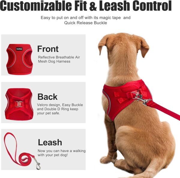 PetiFine Extra Small Step in Dog Harness and Leash Set, Cat Harness and Leash Escape Proof, All Weather Mesh Reflective, Step-in Air Vest Harnesses for Puppy(XXS, Red) - Image 2