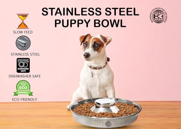 King International Stainless Steel 1 Hammered Slow Feeder Dog Bowl, Puppy Bowl,Puppy Food Bowl,Dog Bowl for Small Dogs,11.4'',Puppy Saucer,Puppy Supplies,Puppy Feeder,Puppy Feeding Bowls for Litters - Image 5