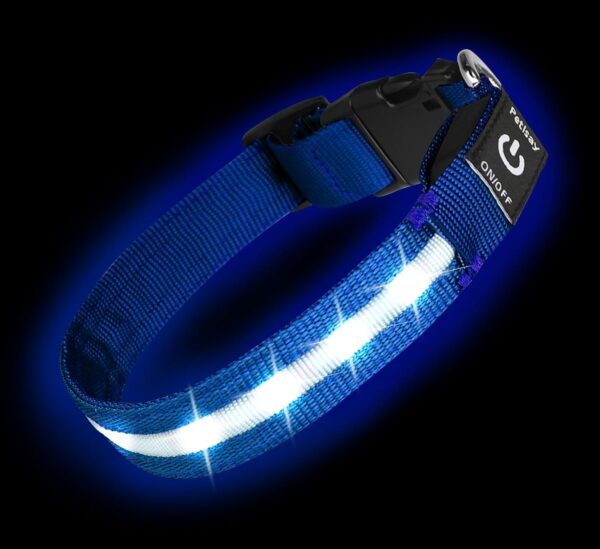 PetIsay Light up Dog Collar - High Visibility & Durable Nylon Material - USB C Rechargeable & Waterproof LED Dog Collar for Night Walking,Lighted Dog Collar Glow in The Dark Flashing(Blue,Medium)