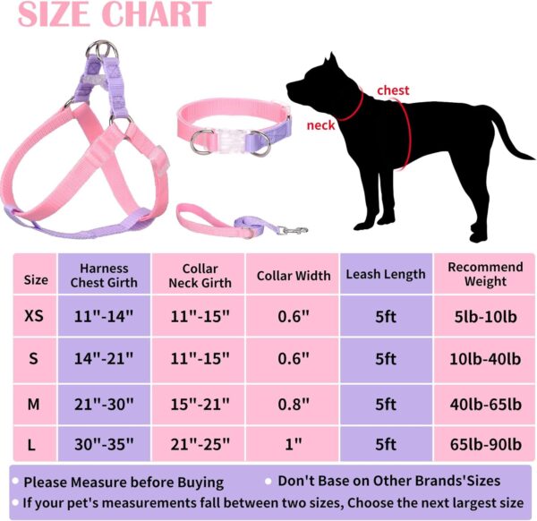 AIITLE Upgraded Dog Halter Harness Collar Leash Set - Durable Adjustable No Pull Dog Halter Harness - Comfortable Padded Handle - for Medium Breed Dogs Outdoor Running Pink-Purple M - Image 5