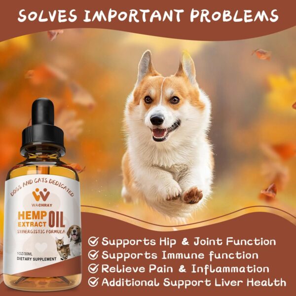 (3-Pack) Hemp Oil for Dogs Cats -Calming Drops Dog Relaxants - Help Pets Anxiety Stress Hip & Joint Pain Relief Arthritis - Organic Pet Hemp Treats - Image 2