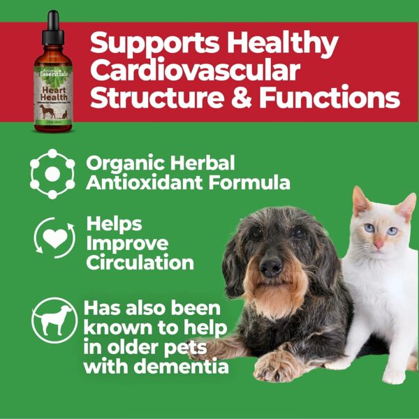 Animal Essentials Heart Health Cardio Strength for Dogs and Cats, 2 fl oz - Made in USA Organic Hawthorn Berries Alcohol Free - Image 5