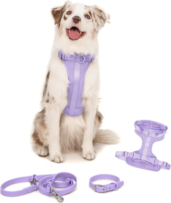 Dog Harness and Leash Set | BearBone No Pull Dog Harness and Waterproof Dog Collar and Leash Set | Heavy Duty Dog Harness, Leash and Collar | Medium Dog Harness, Leash and Collar (Lilac, Medium)