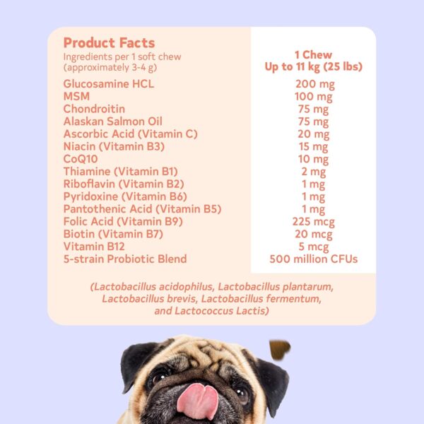 8 in 1 Dog Multivitamin Treats - 120 Chews - Vitamin Supplement Treats with Probiotics for Comprehensive Canine Health - Formulated with Alaskan Salmon Oil, Glucosamine, and CoQ10 - Image 6