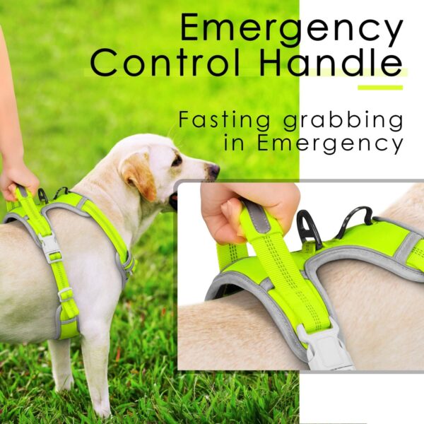 ThinkPet No Pull Harness set Breathable Sport Harness with Handle - Reflective Padded Dog Safety Vest with Reflective Neon Dog Leash XL Harness Leash Pack Green - Image 4