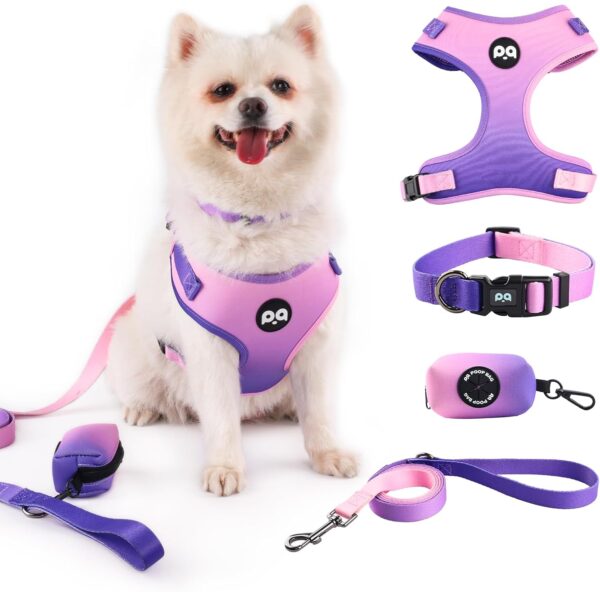 QQPETS Dog Harness Collar Leash with Poop Bag Holder 4 PCS Set, Adjustable No Pull Soft Mesh Padded Vest for Small Medium Large Pet Puppy Outdoor Walking (Gradient Purple, S (Chest 16.1”-22”))