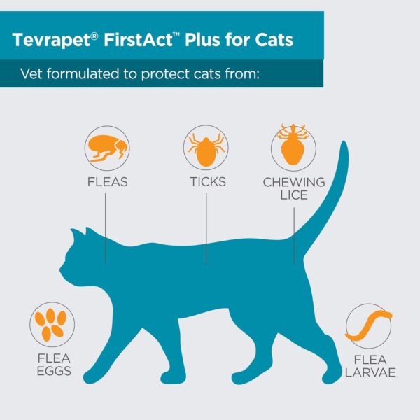 TevraPet FirstAct Plus Flea and Tick Prevention for Cats Over 1.5lbs, 6 Monthly Doses, Topical Drops - Image 3