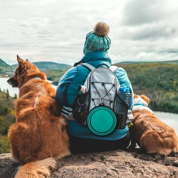 Collapsible Dog Bowls-2 Pack Large Size for Large/Medium Dogs, Dog Travel Water Bowl, Dog Cat Portable Water Bowl, Dog Pet Feeding Watering Dish Outdoor Hiking Parking Traveling with 2 Carabiners - Image 6