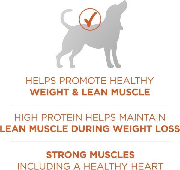 Purina ONE Plus Healthy Weight High-Protein Dog Food Dry Formula - 31.1 Lb. Bag - Image 4