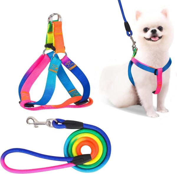 PetsHome Dog Harness & Leash Set Adjustable No Pull Safe Nylon Pet Harness with Leash for Outdoor Walking for Dogs Small Rainbow