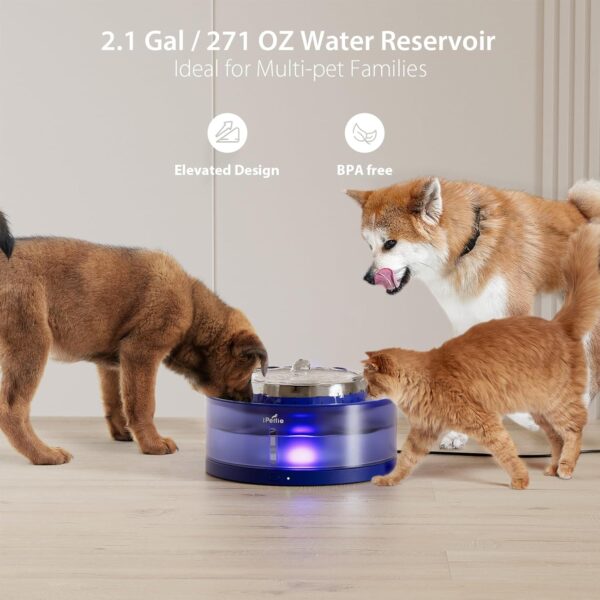 iPettie Cake Dog Water Fountain, 8L/2.1Gal Large Capacity Automatic Dispenser, Wireless Pump Filtered Waterer Purifier with BPA-Free Stainless Steel Bowls, Dishwasher Safe, Blue - Image 4