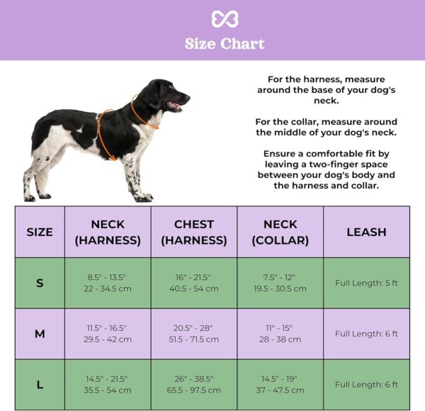 Dog Harness and Leash Set | BearBone No Pull Dog Harness and Waterproof Dog Collar and Leash Set | Heavy Duty Dog Harness, Leash and Collar | Medium Dog Harness, Leash and Collar (Lilac, Medium) - Image 5