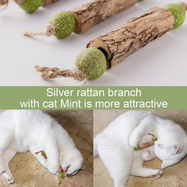 Silvervine Sticks Catnip Toys for Cats, 3 Pack, Interactive Indoor Cat Toy for Teeth Cleaning, Natural Matatabi Chew Treat for Aggressive Chewers. - Image 3