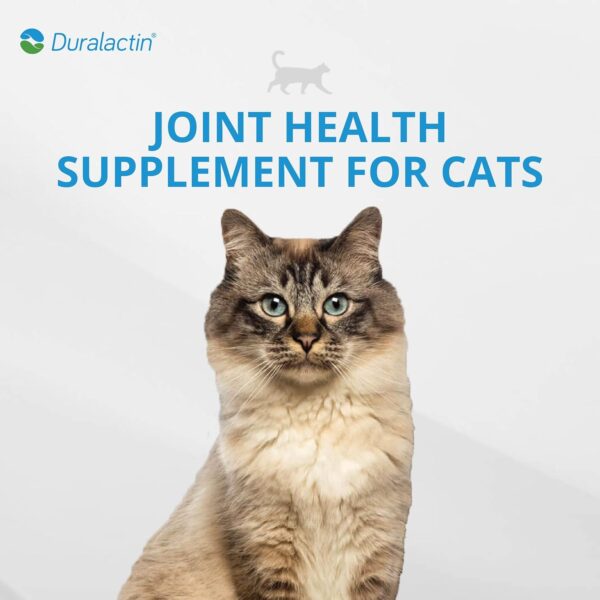 PRN Pharmacal Duralactin Feline Fatty Acid Soft Chews - Joint Health Supplement for Cats & Kittens to Help Manage Soreness - omega-3 Fatty Acid Supplement - Chicken Liver Flavor - 60 Chews - Image 3