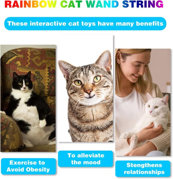 Cat Wand Toys, Interactive Kitten Toys for Indoor Cats,Colorful Cat Teaser Wand String for Cat Kitten Exercise Cat Stick Toy Cat Charmer-2Pcs - Image 6