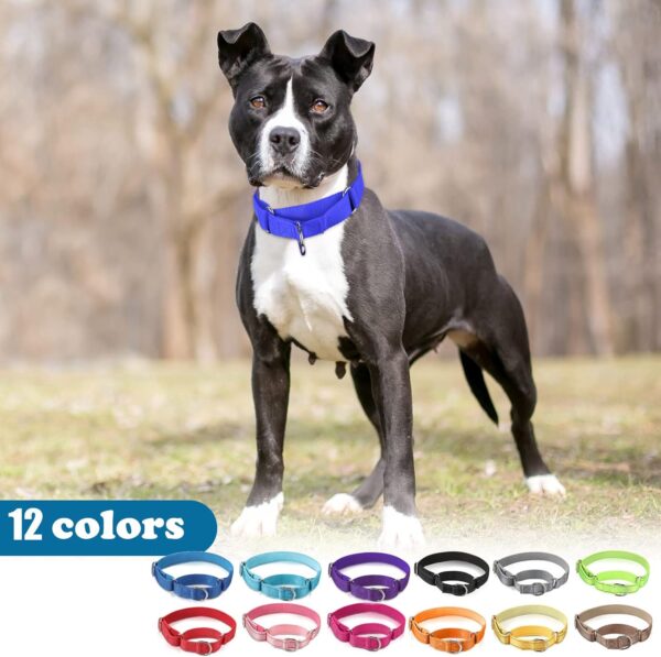 Cunno 12 Pcs Martingale Collar for Medium Dogs Reflective Dog Collar with Durable Metal Buckle Adjustable Nylon Pet Collar Prevent Slipping out Puppy Collars for Dog, 12 Colors (Large) - Image 6