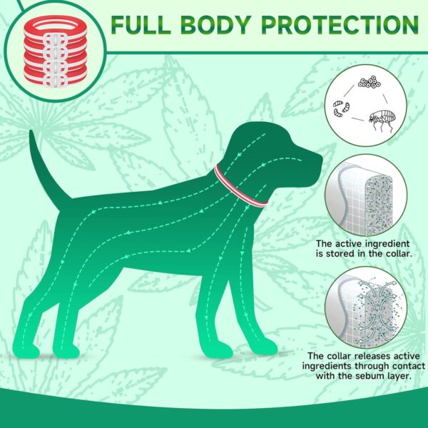 4 Pack Flea Collar for Dogs, 32 Months Flea and Tick Prevention for Dogs, Adjustable Flea and Tick Collar for Dogs, Dog Flea and Tick Collar, Water-Resistant Dog Flea Collars, Red & White - Image 3