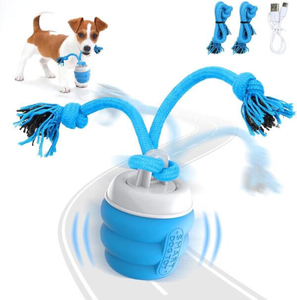 Interactive Dog Toys Ball - Fun Moving Dog Toys to Keep Them Busy | Rechargeable Smart Automatic Dog Ball for Large, Medium, and Small Puppy Dogs for Boredom