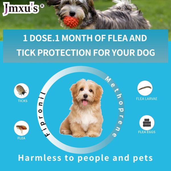 Flea and Tick Prevention for Dogs, Small Dog Flea & Tick Control with Fipronil, Long-Lasting and Fast-Acting Topical Flea & Tick Treatment Drops for Puppies, 5 to 22 lbs, 3 Doses - Image 3