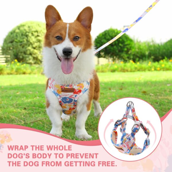 MUMUPET Dog Harness with Leash Set,No Pull Adjustable Step in Puppy Harness with Padded Vest for Small Medium Large Dogs and Cats - Image 4