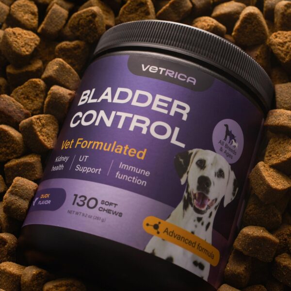 Dog UTI Treatment - Bladder Control Cranberry Chews - Dog Cranberry Supplement for Urinary Tract, Bladder & Kidney Health - Cranberry D-Mannose Soft Treats for Dog Incontinence - Healthy Bladder - Image 9