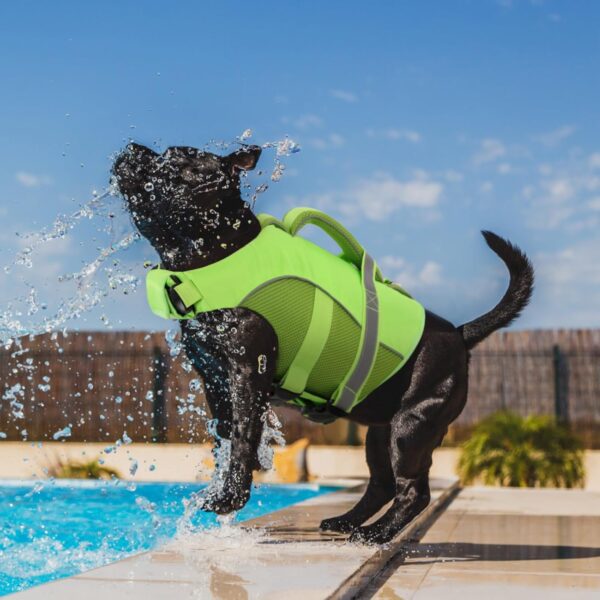 Queenmore Dog Life Jacket, Adjustable Ripstop Dog Life Vest for Swimming Boating, Dog Lifesaver with Superior Buoyancy and Rescue Handle, Dog Swimming Vest for Medium Dogs（Green,M） - Image 7