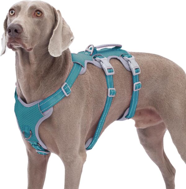 Escape Proof Dog Harness, No Pull Reflective Harness with Lift Handle, Adjustable Pet Vest with Front and Back Leash Clips for Small Medium Large Dogs Walking Hiking Training (Teal,L)