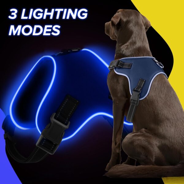 Light Up Dog Harness, Led No-Pull Reflective Dog Vest, Breathable Adjustable Pet Harness with Handle for Outdoor Walking - No More Pulling, Tugging or Choking (Blue, M) - Image 7