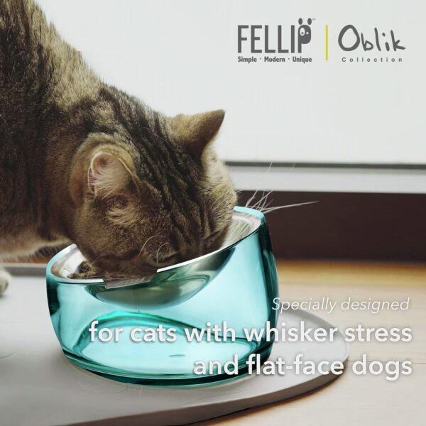 Felli Pet Oblik Anti Whisker Fatigue Cat Bowl Raised Stainless Steel Angled Wide Shallow Dish for Dry Wet Food, Vomit & Spill Proof Tilted Elevated Feeder Acrylic Base (0.5Cup, Classic) - Image 2