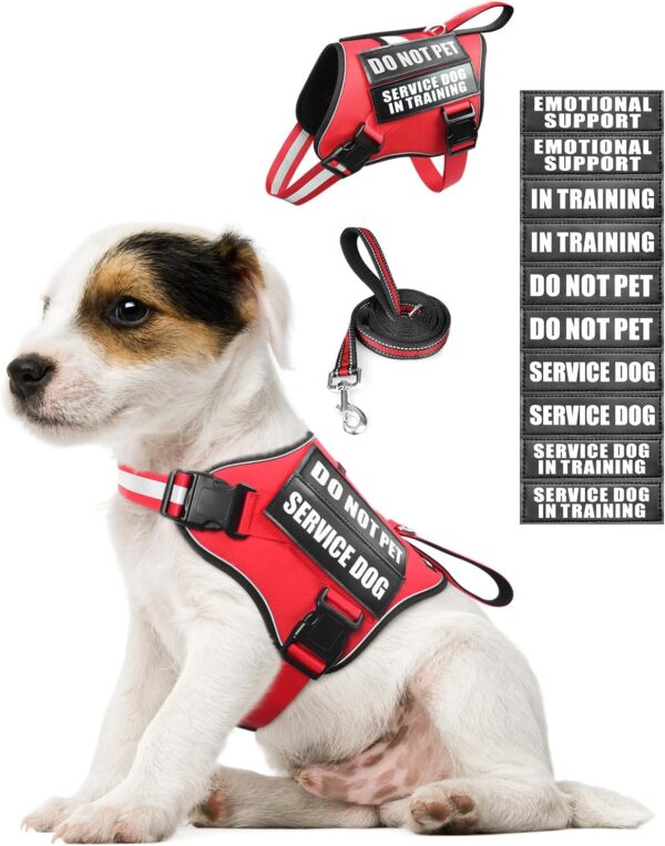 Service Dog Vest Harness and Leash Set+10 Patches for Puppy Small Dogs,Do Not Pet Emotional Support Dog Vest with 2 Soft Padded Handle for Everyday/Training (Red XS)